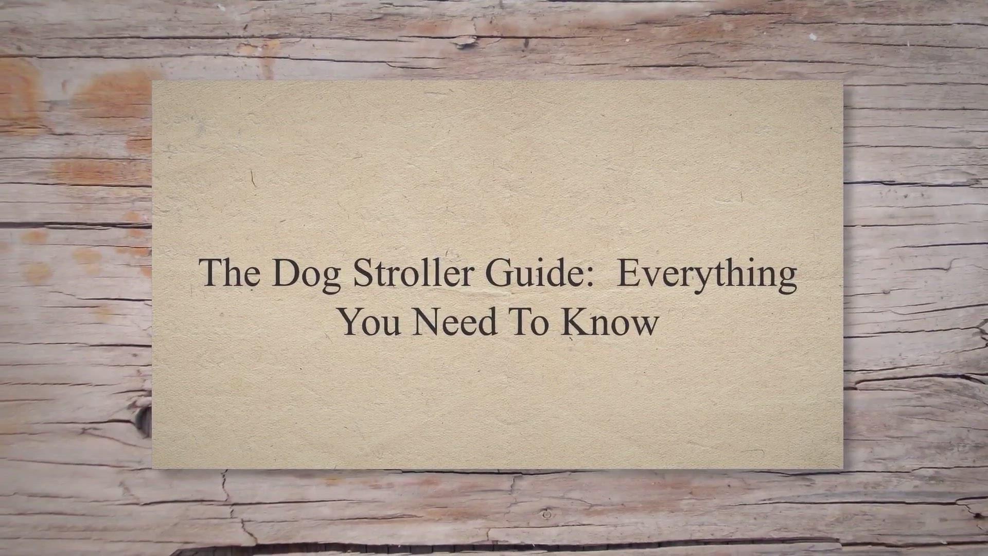 'Video thumbnail for The Dog Stroller Guide: Everything You Need To Know'
