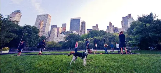 are dogs allowed at central park