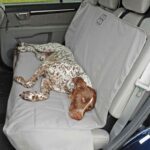 Car Seat Cover