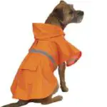 Dog Jackets and Coats Dogsized