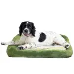 Teafco Otto Memory Foam Bed with Heat Relief Padding, Green