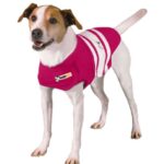 Thundershirt Dog Shirt