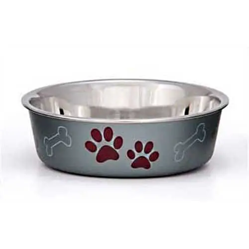 Top Dog Bowls That Are Stylish and Functional