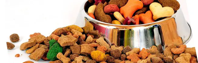 Dog Food and Treats