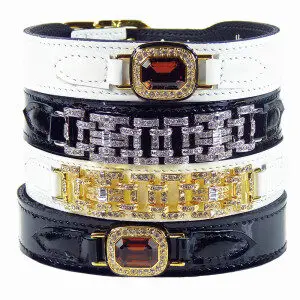 Cool Dog Collars from Chic to Sporty