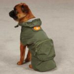 Monkey Business Stowaway Dog Jacket