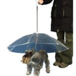 dog umbrella