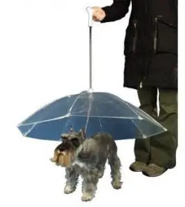 Funny Dog Products: The Dog Umbrella Dogsized