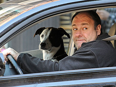 James Gandolfini Dogs