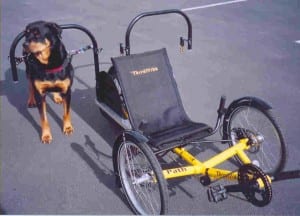 Dog Powered Recumbent Tadpole Trike