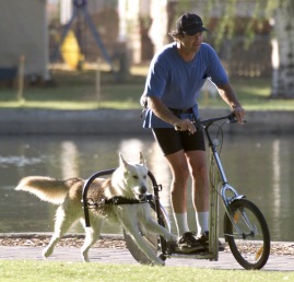 Dog Powered Scooter