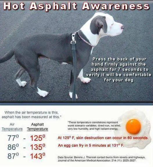 hot asphalt awareness