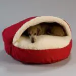 Lit caverneux Snoozer Cozy