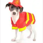 Fireman Dogs Costume