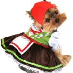 Alpine Girl Dog Costume