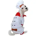 Chef Dog Costume