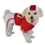 Halloween Dog Red Football Jersey Dog Costume