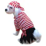 Halloween Dog Pirate Dog Costume
