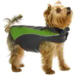Top 10 Dog Coats for Winter Dogsized