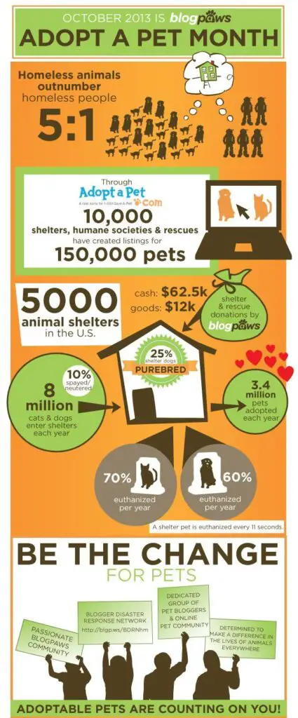 Adopt a Pet Month