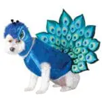 Animal Planet Peacock Dog Costume