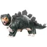 Animal Planet Stegosaurus Costume de chien