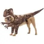 Costume pour chien Raptor