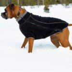 Ruffwear Climate Changer Fleece Jacket