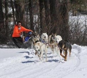 dog_sledding