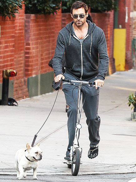 Hugh Jackman scootering around with his dog Dogsized
