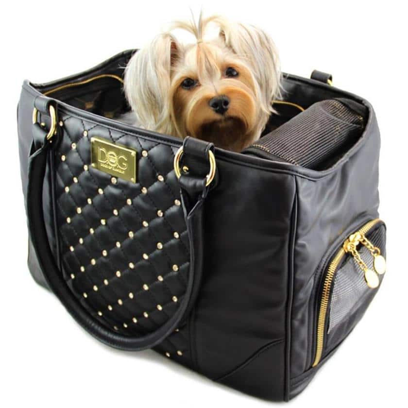 Top 5 FAA Approved Dog Carriers - Dogsized