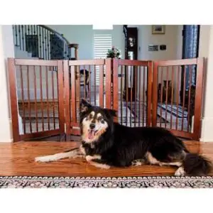Dog Gate Installation – Everything You Need To Know About How to Install a Dog Gate