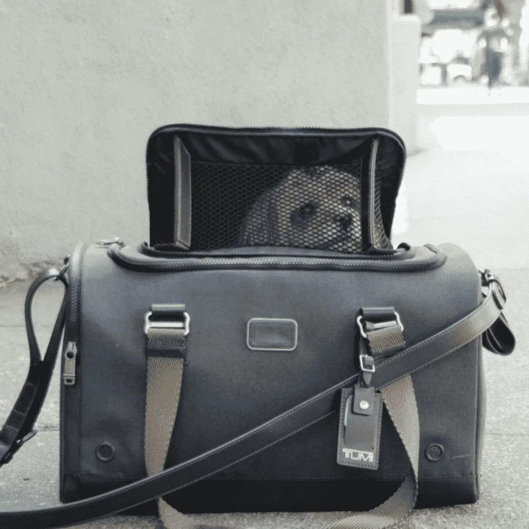 Jet Setting Dogs – Tumi High-End Travel Products for Your Dog