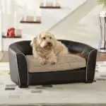 Our Top 4 Favorite Dog Bed Brands Dogsized
