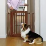 One Touch Pet Gate