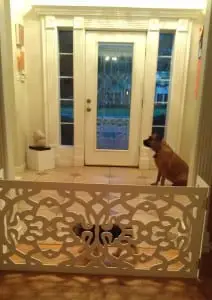 dog gate