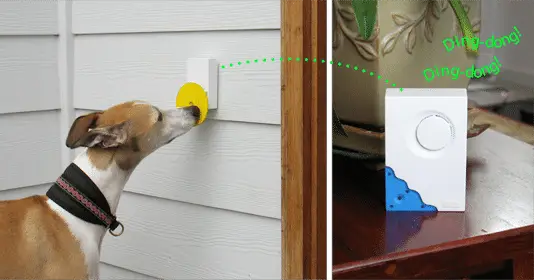 Doggie Doorbell by Pebble Smart Dogsized