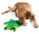 Dog Treat Toy