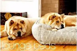 Sophisticated Dog Beds by Jax and Bones Dogsized