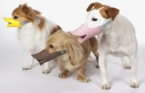 oppo-dog-muzzle-duck-bill