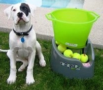 best automatic dog ball launcher