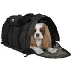 The Best Dog Bags and Carriers Dogsized