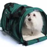 SturdiBag Green - Top 20 Dog Gifts