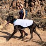 ruffwear swamp cooler