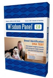 wisdom panel dog dna test