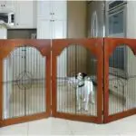 Dog Gates Dogsized