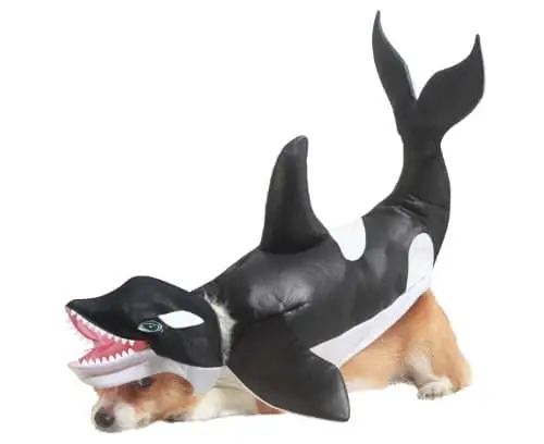 Halloween Dog Costumes That Will Make You Laugh