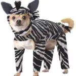 Costume de chien zèbre