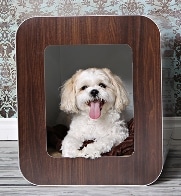 Kooldog Dog House - stylish dog house