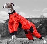 Zippy Classy Dog Suits